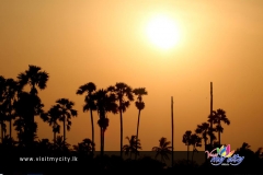 Sunset in Jaffna